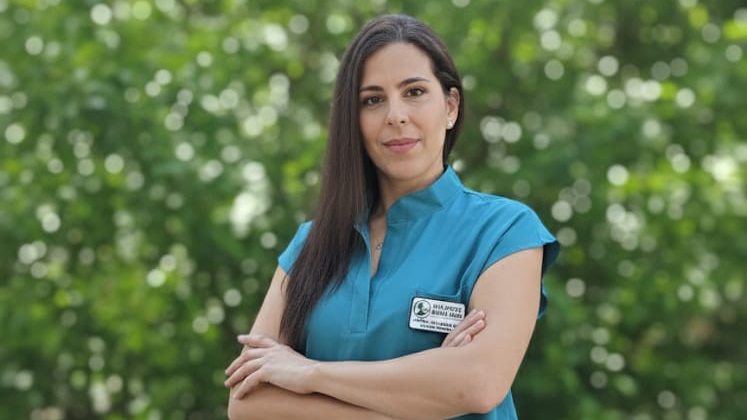 Precios transparentes